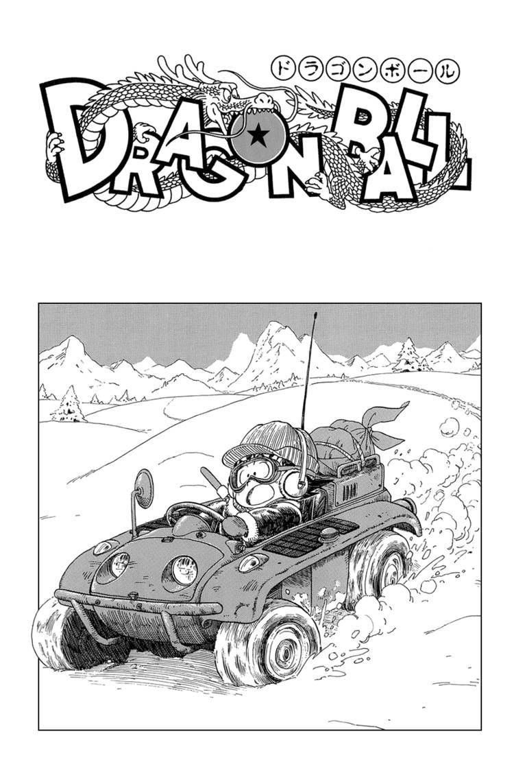 Dragon Ball Chapter 45.059 245